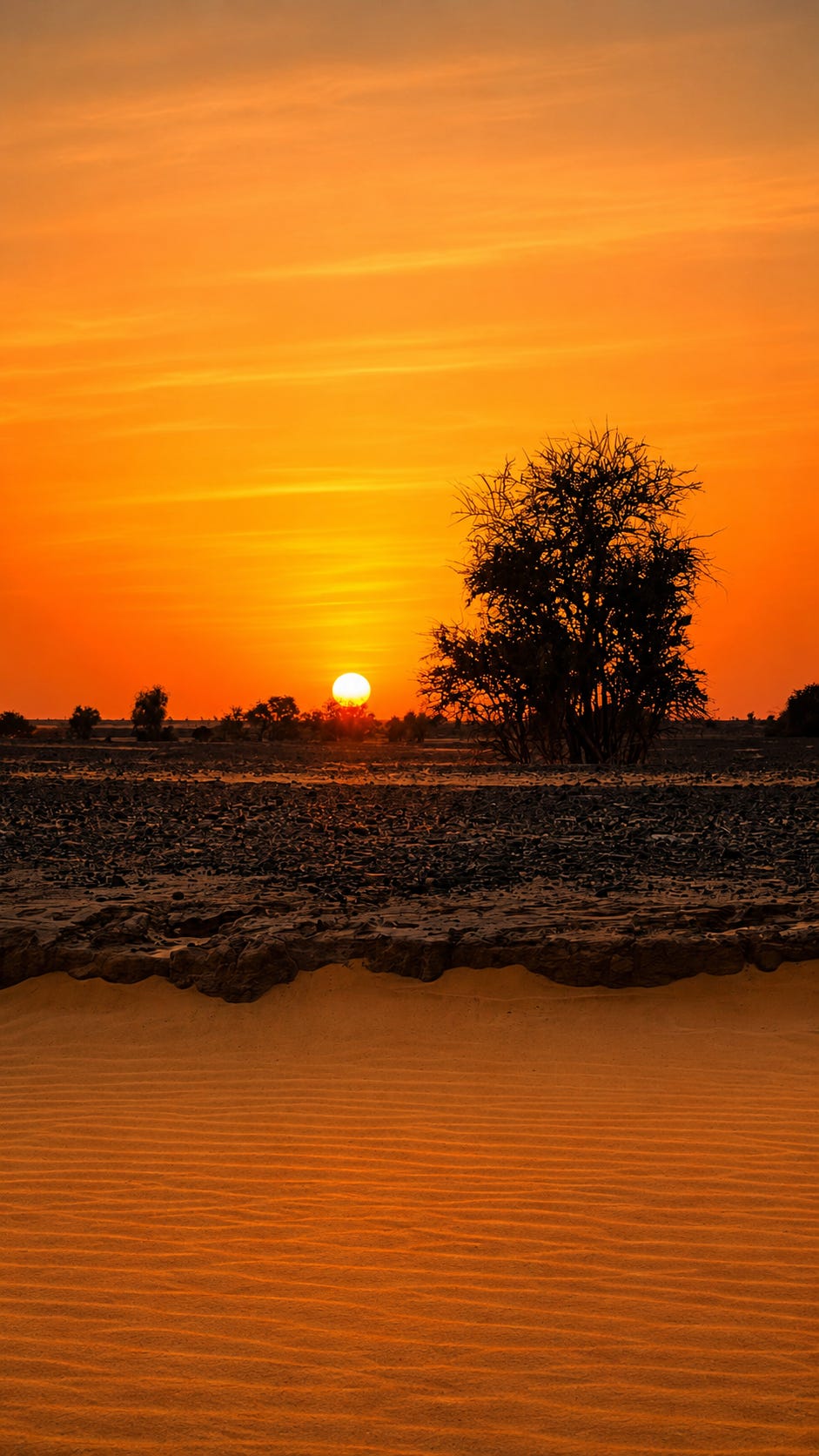 The Adrar Region